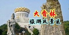 鸡巴干B的视频中国浙江-绍兴大香林旅游风景区